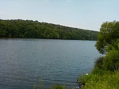 р.Збруч с. Куровка, Городоцкого р-н.