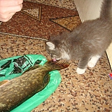моя доля