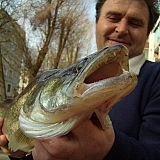 наши уловы-13