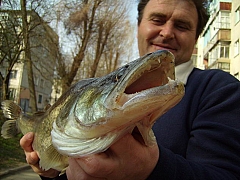 наши уловы-13