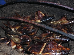 походная кухня (фоторецепты)-9