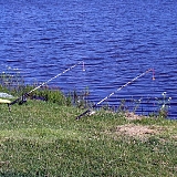 Чемнионат 2012 