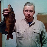 Карп зимой
